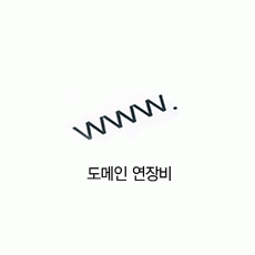 도메인 연장비1